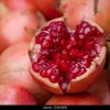 Pomegranate Live Plant – 3-4 Ft Tall – Fruit Bearing Shrub – 3 Gallon Pot - Image 1