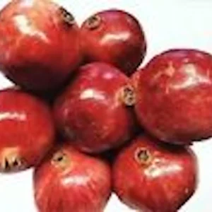 Pomegranate 'Wonderful' Fruit Tree - 1 Edible Live Starter Plant, Zones 7-11 - Image 4