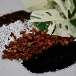 Premium Potting Soil Mix for Houseplants - Well-Draining Organic Blend - Image 2