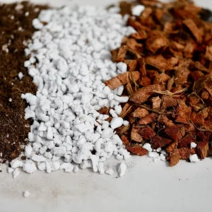 Premium Potting Soil Mix for Houseplants - Well-Draining Organic Blend - Image 4