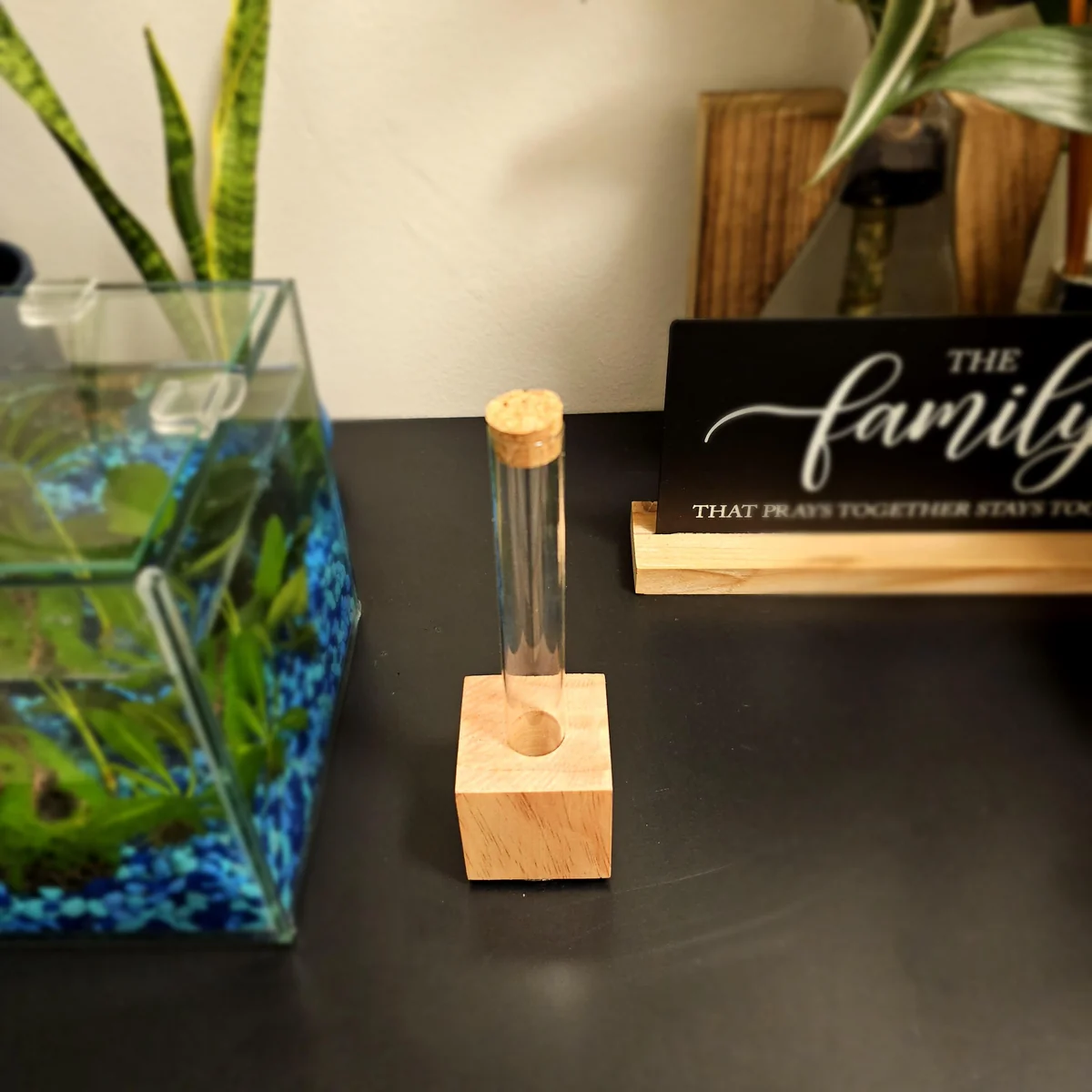 Propagation Station – Hydroponic Gardening Vase – Glass Tube & Wood Stand – Plant Cuttings Decor - Image 5