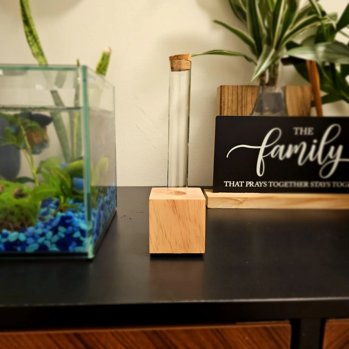 Propagation Station – Hydroponic Gardening Vase – Glass Tube & Wood Stand – Plant Cuttings Decor - Image 1