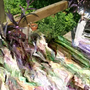 Purple Heart Wandering Jew Plant - Live Rooted Tradescantia Pallida - Indoor Houseplant - Image 2