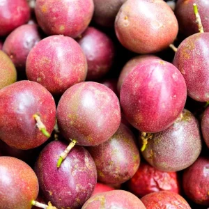 Purple Passion Fruit Live Plant – Half Gallon Pot – Outdoor Vine - Image 1