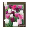 Purple Rain Mix Tulip Bulbs - Triumph Tulipa - 18-20" Tall - Outdoor - Image 1
