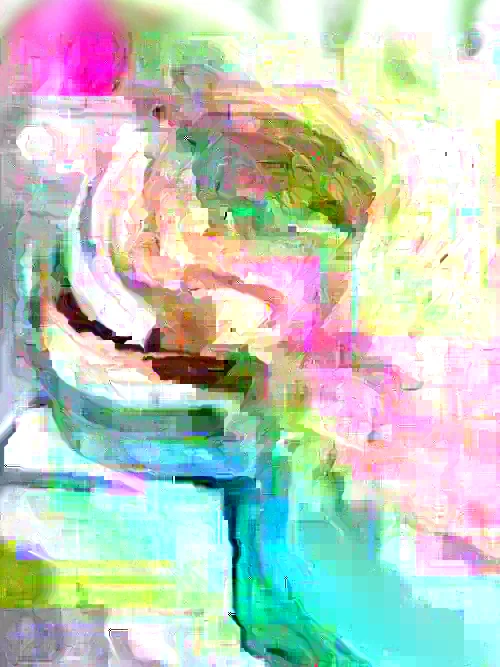 Purple Ranunculus Bulbs - 14 Corms for Garden & Wedding Flowers - Image 5