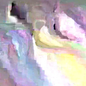 Purple Ranunculus Bulbs - 30 Quality Corms for Planting - Indoor & Outdoor Flowers - Image 2