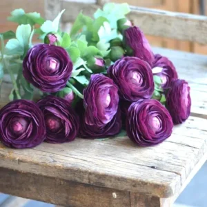 Purple Ranunculus Flower Bulbs - 15 Corms, Peony Rose Buttercup Type for Garden - Image 8