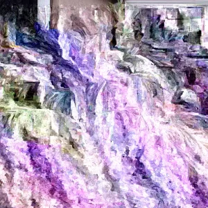 Pygmy Date Palm Seeds - Phoenix Roebelenii Fresh Seeds - Perennial Palm - Image 1