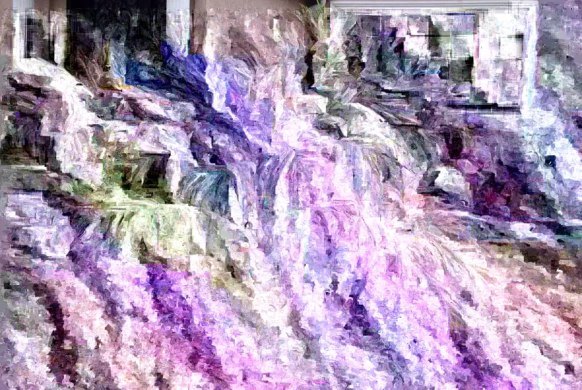 Pygmy Date Palm Seeds - Phoenix Roebelenii Fresh Seeds - Perennial Palm - Image 1