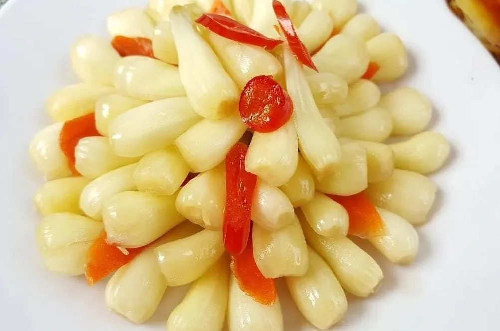 Rakkyo Allium chinense Bulbs – 48 Roots – Edible Herbal Plant - Image 4