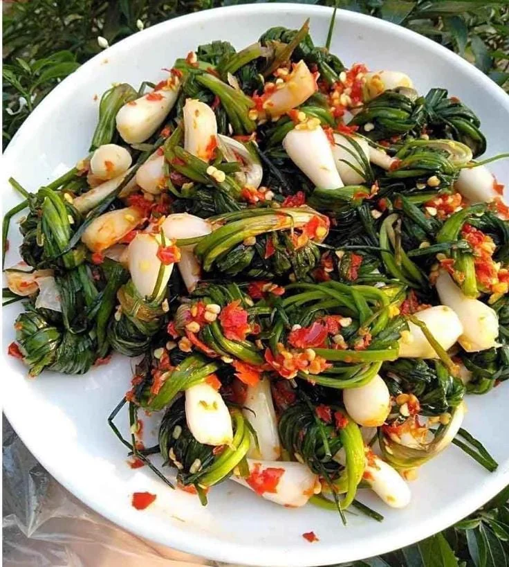 Rakkyo Allium chinense Bulbs – 48 Roots – Edible Herbal Plant - Image 5