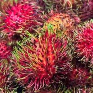 Rambutan Live Plant (Nephelium lappaceum) - Tropical Fruit Tree 2-3 ft - Image 6