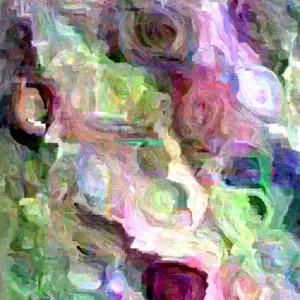 Ranunculus Flower Bulbs - 15 Pink Corms - Perennial Buttercup for Garden - Image 3