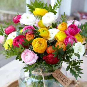 Ranunculus Flower Bulbs - 15 Rainbow Mix Corms - Perennial Flowers for Garden - Image 8