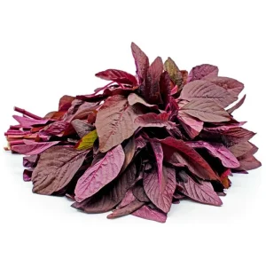 Red Amaranth Seeds Heirloom Non-GMO Annual Edible Leaf Vegetable Seeds - Image 1