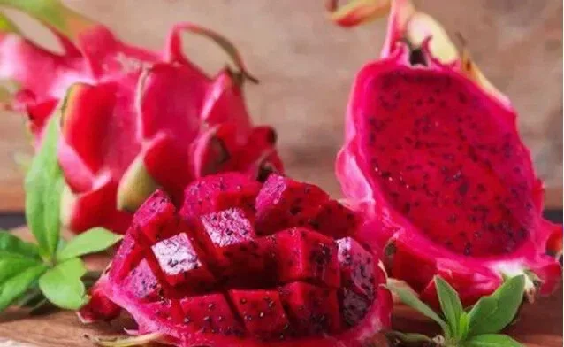 Red Dragon Fruit Seeds - Pitaya Hylocereus Undatus - Easy Grow Cactus, 25+ Seeds - Image 1