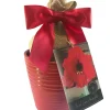 Red Lion Amaryllis Gift Growing Kit - Bulb, Ceramic Pot, Burlap Bag - Image 1
