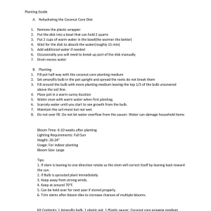 Red Lion Amaryllis Kit - Indoor Bulb Growing Kit - Deep Red Flowers, 20-24 Inches Tall - Image 5