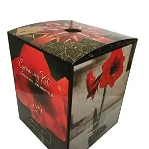 Red Lion Amaryllis Kit - Indoor Bulb Plant - Deep Red Flowers - 20-24 Inches Tall - Image 1