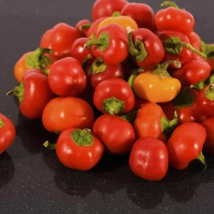 Red Pimento Pepper Seeds - 500 Count Vegetable Seeds for Outdoor Gardens - Image 3