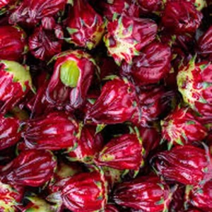 Red Roselle Hibiscus Live Plant – Jamaican Sorrel – Half Gallon Pot – Outdoor - Image 4