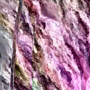 Red Weigela Live Plant - Weigela florida Shrub, up to 2 ft tall, Bare Root, Outdoor - Image 3