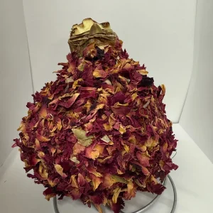 Revelation Waxed Amaryllis Bulb 28/32 - No Water Indoor Plant - Image 3