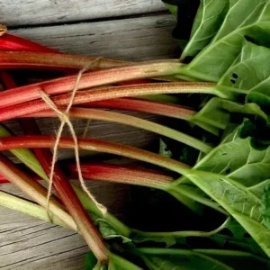 Rhubarb Seeds - 75 Organic Heirloom Seeds for Large Red Stalks, Easy Grow - Image 6