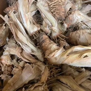 Rio Vista Iris Reblooming Bearded Iris Germanica Bareroot - Lavender Flowers, Zones 3-10 - Image 5