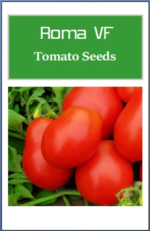 Roma VF Tomato Seeds – Non-GMO Heirloom Vegetable Seeds – Easy to Grow – Full Sun - Image 3