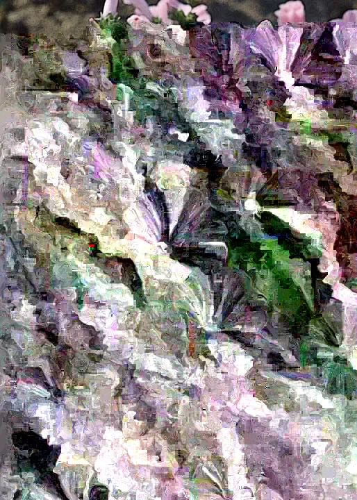 Rose Mallow Live Plant, Hibiscus moscheutos, 20+ Inches Tall, Set of 2 Outdoor Shrubs - Image 1