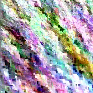 Rose of Sharon Live Plant 6-12 Inches Tall - Hibiscus syriacus Outdoor Shrub - Image 4