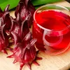 Roselle Seeds – Asian Sour Leaf, Red Sorrel, Florida Cranberry – 25+ Seeds – Perennial - Image 1