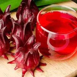 Roselle Seeds – Asian Sour Leaf, Red Sorrel, Florida Cranberry – 25+ Seeds – Perennial - Image 1
