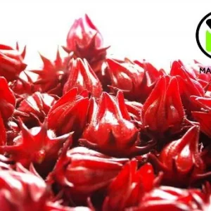 Roselle Seeds - Grow Hibiscus Sabdariffa for Tea & Culinary Use - Image 2