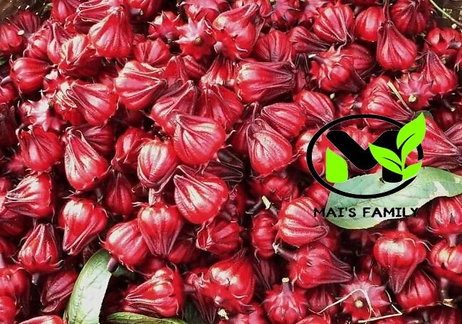 Roselle Seeds - Grow Hibiscus Sabdariffa for Tea & Culinary Use - Image 3