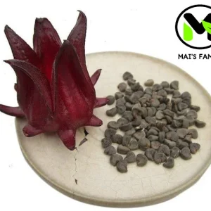 Roselle Seeds - Grow Hibiscus Sabdariffa for Tea & Culinary Use - Image 1