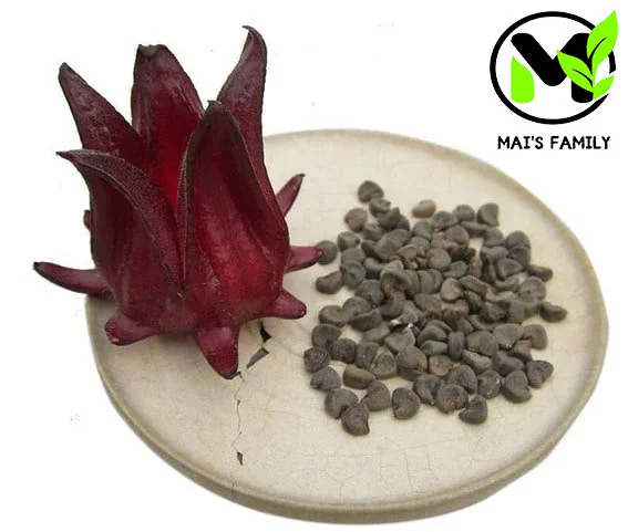 Roselle Seeds - Grow Hibiscus Sabdariffa for Tea & Culinary Use - Image 1