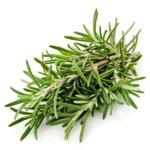 Rosemary Seeds - Non-GMO Heirloom Culinary Herb Perennial Shrub - Image 2