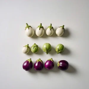 Round Eggplant Seeds Mix - Purple, Green, White Variety - Vegetable Seeds - Image 5