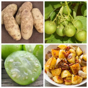 Russet Potato Seeds - 70 True Heirloom Seeds, Outdoor Planting - Image 1