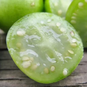 Russet Potato Seeds - 70 True Heirloom Seeds, Outdoor Planting - Image 4