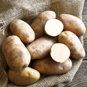 Russet Potato Seeds for Planting, 70 Heirloom True Potato Seeds, Outdoor - Image 2