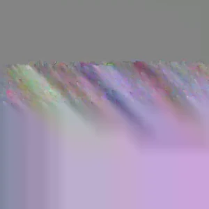 Purple Ranunculus Bulbs - 30 Quality Corms for Planting - Indoor & Outdoor Flowers - Image 3