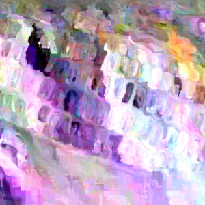 Bloody Butcher Red Corn Seeds - Heirloom Organic, High Protein, 100 Seeds - Image 2