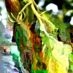 Brad's Atomic Grape Tomato Seeds - 20 Organic Vegetable Seeds for Garden - Image 3