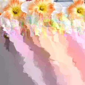 Butterfly Double Mixed Daffodil Bulbs - 5 Pack, Multicolor, Perennial, Full/Partial Sun - Image 3