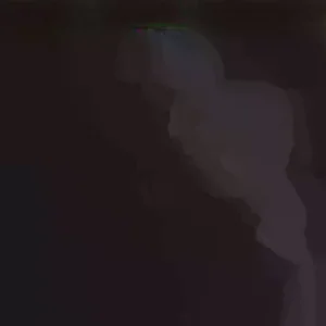 Daffodil Bulbs Mixed Double Trumpets - 12 Perennial Flower Bulbs for Planting - Image 4