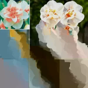 Daffodil Bulbs Mixed Double Trumpets - 12 Perennial Flower Bulbs for Planting - Image 1